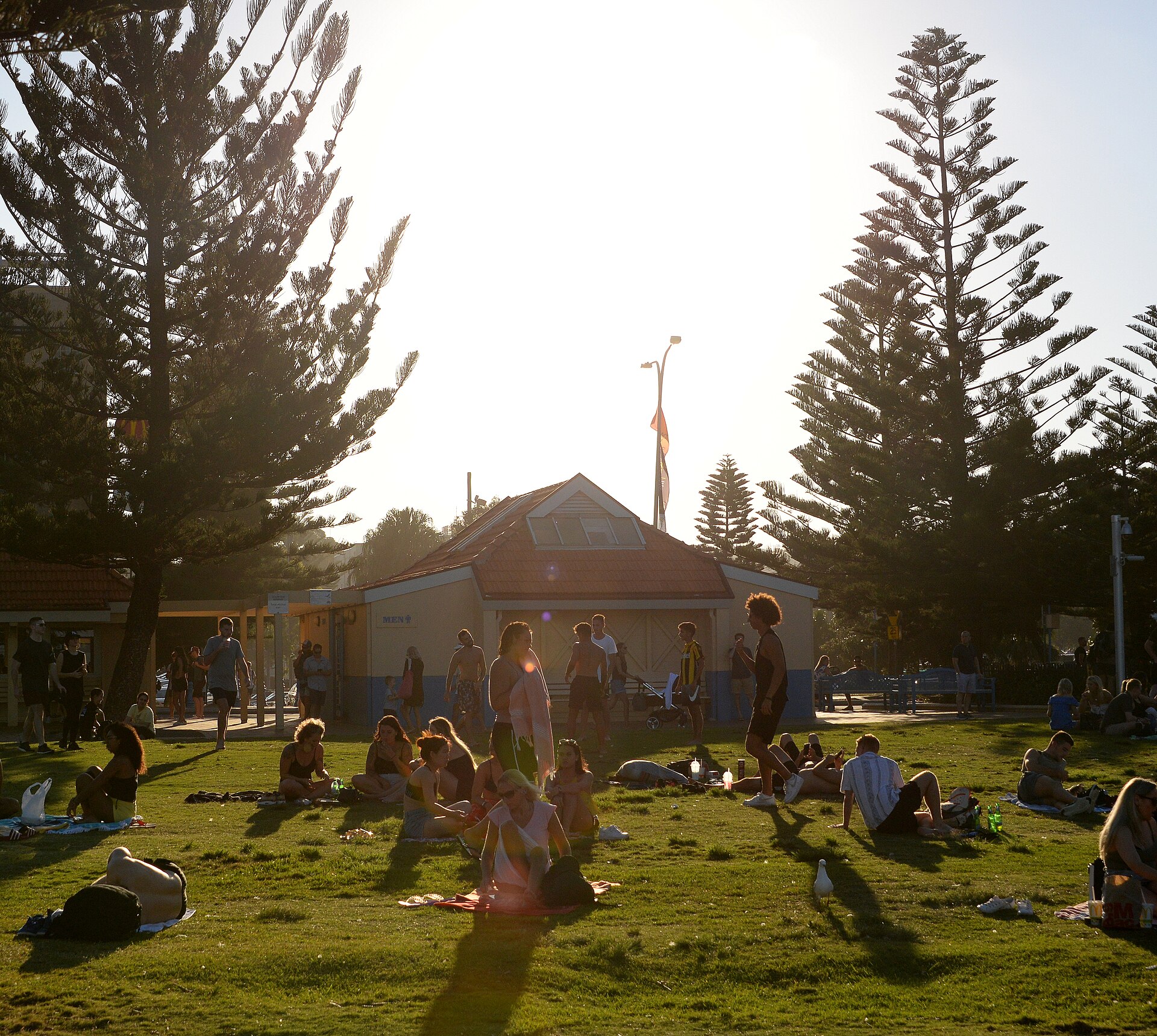 Coogee